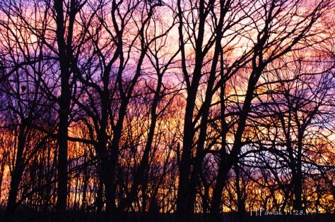 Blue Ridge Mountain sunset. Photo and copyright by Barbara Mattio