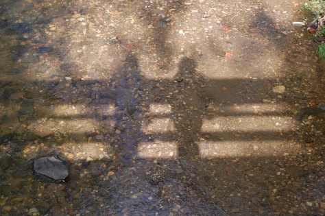 Reflections from the bridge of life