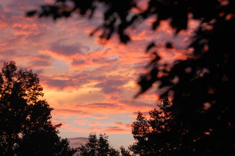 Photo by Barbara Mattio 2010