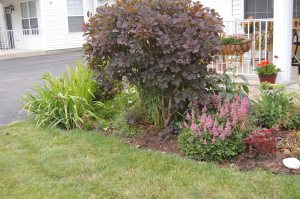 Photography by Barbara Mattio