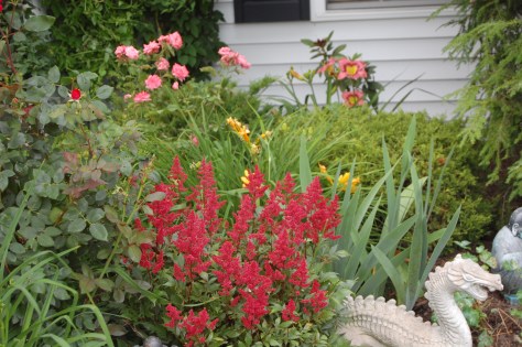 Photo by Barbara Mattio