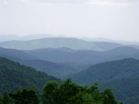 Photograph by Barbara Mattio 