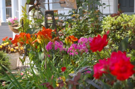 Photography by Barbara Mattio