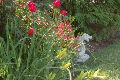 Photography by Barbara Mattio