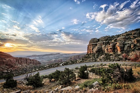 Grand junction Colorado piant