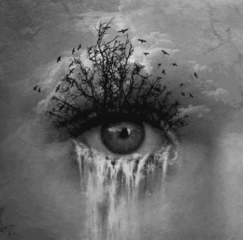 The language of the eyes is tears.