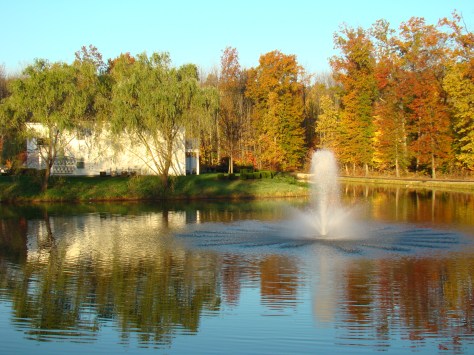 My pond in Autumn    Photo by Barbara Mattio