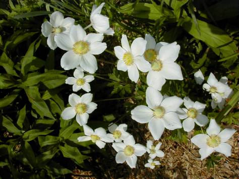 Photo by Barbara Mattio