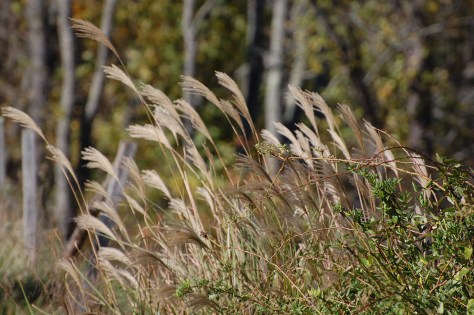 Western North CarolinaPhoto by Barbara Mattio