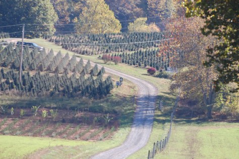 Western NC. Photo by Barbara Mattio