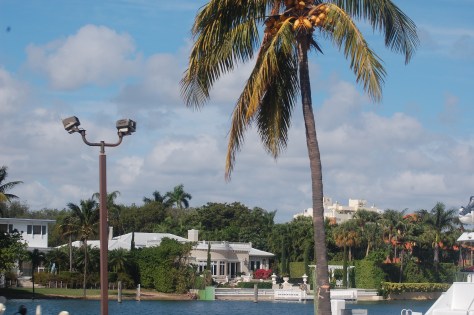 Just a beautiful day in  FloridaPhoto by Barbara Mattio