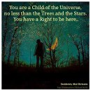 If you are a child of the Universe