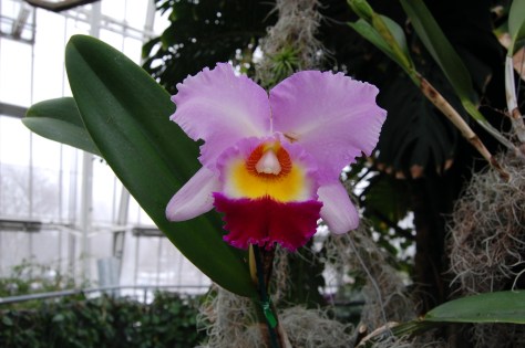 Beautiful Painted Colors