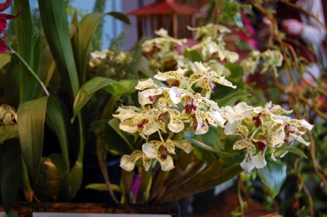 Amazing Color Combinations