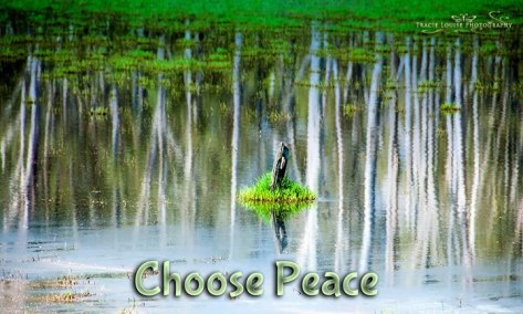 Hug a tree today and tell it how important it is to you.