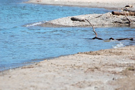 The winter lake took some of the shoreline