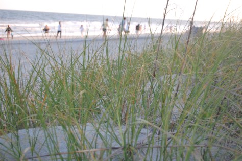 Wrightsville Beach, NC. Photograph copyrighted by Barbara Mattio 2013