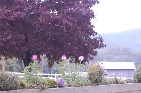 Blue Ridge Mountains, NC. Photgraph copyrighted by Barbara Mattio 2013