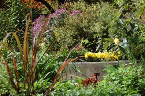 Surrender yourself to peace.Photography copyrighted by Barbara Mattio