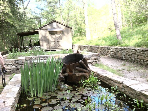 Ashville botanical gardens Photograph and copyright by Barbara Mattio 2013