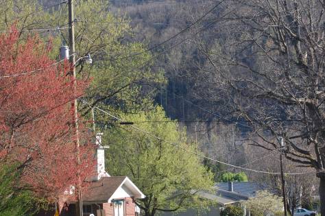 Blue Ridge Mountain  Photograph and copyright by Barbara Mattio 2013