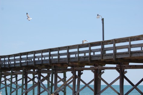 Fishing from the pier