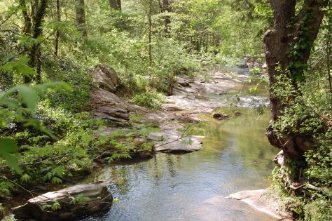woodland stream. Photograph and copyright by Barbara Mattio 2012