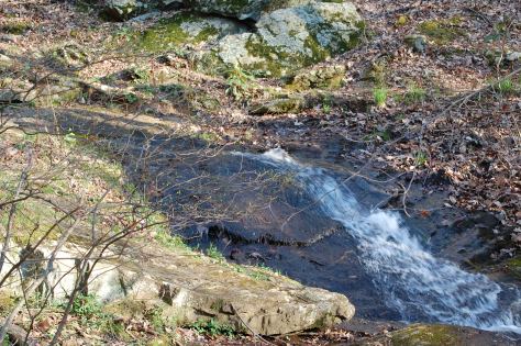 Forest stream in the Blue Ridge Mountains. Photograph taken and copyrighted by Barbara Mattio