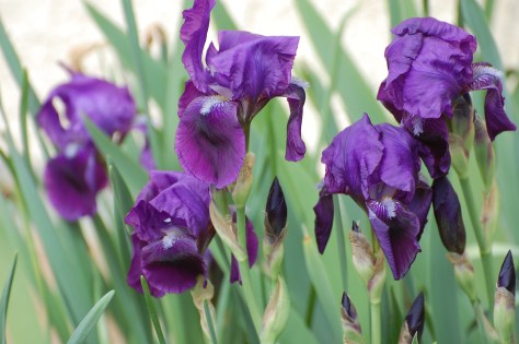 A time for everything on this earth.