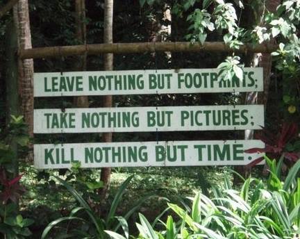 Our life cycles are in conjunction with our Mother Earth. Do not betray her.