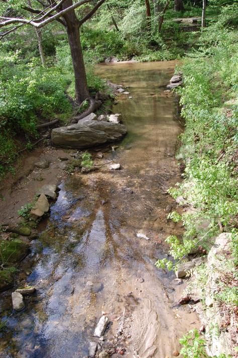 Flowing mountain brook