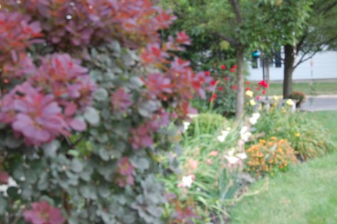 Photography taken and copyrighted by Barbara Mattio;  2013