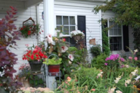 Photograph and copyright by Barbara Mattio 2013