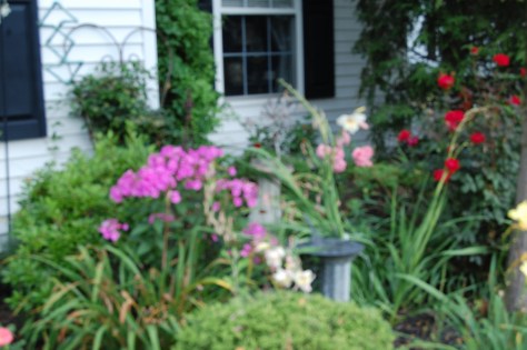 Photograph taken and copyrighted by Barbara Mattio; 2013