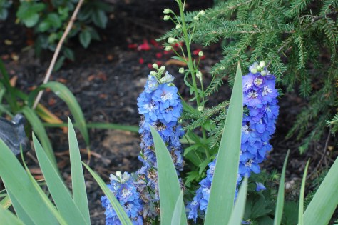 Photograph and copyright by Barbara Mattio; 2013