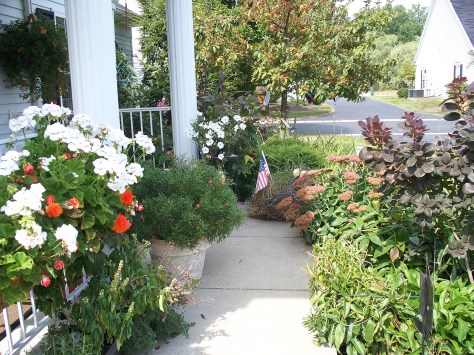 Garden grown and photographed by Barbara Mattio. Copyright 2009