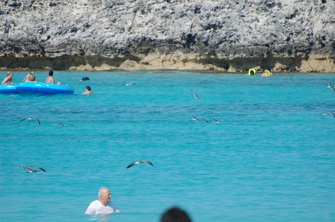 Waves in ocean Photo and copyright by Barbara Mattio 2013