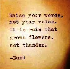 Do not raise your voice
