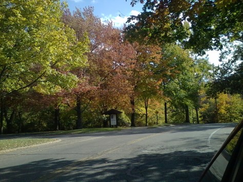 Huntington Beach, we are finally getting autumn color here. Photograph taken and copyrighted by Barbara Mattio 2013