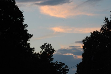 Sunset at Livingston Lake