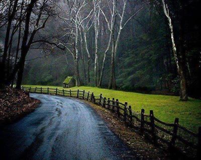 943333_569567613102938_1530102113_n