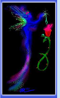 We can do it. Others have and we can too...change the world