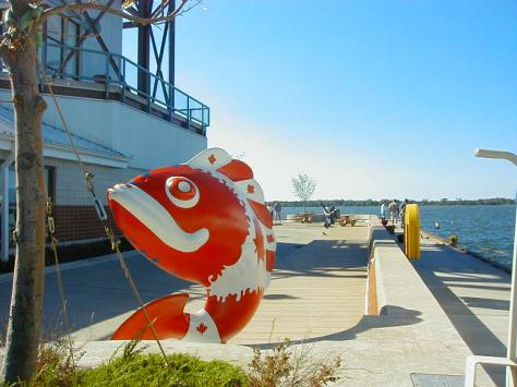The dock, Dobbins Landing
