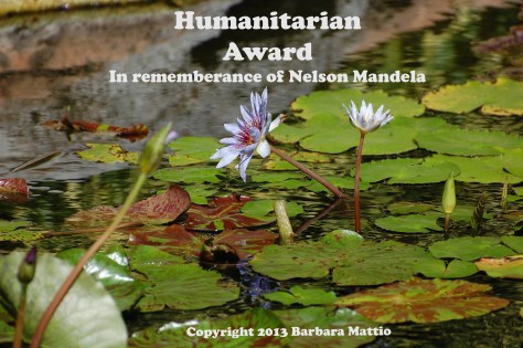 HumanitarianAward copy