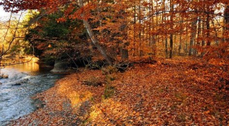 The glory of Mother Earth is interwoven with us.