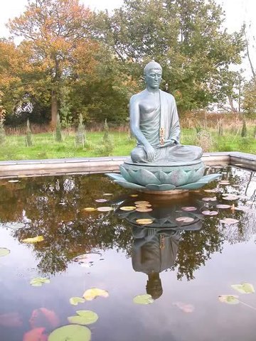 buddhawatergarden