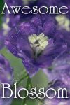 awesome-blossom (1)