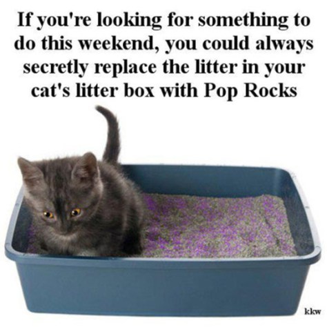 bucket credit bromygod via its funny to me