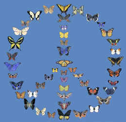 ButterflyPeace396Blue