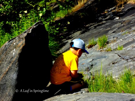 DSC04289 - copy1 (2)